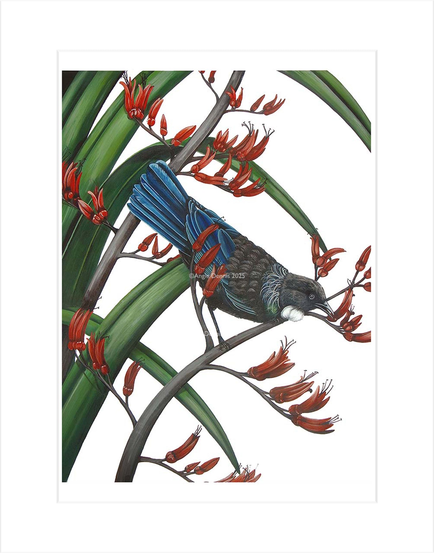 Tui on Flax